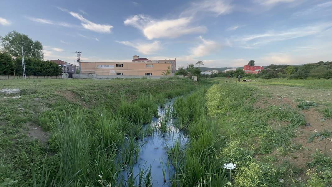 İstanbul'un o mahallesinde büyük panik! Korkunç manzarayı gören istifra etmeye başladı! 11